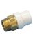 ADAPTR BRASS TRANS 1/2" N