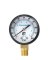 Pressure Gauge 0-100 Psi