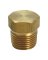 Cored Hex Hd Plug 1/2 Lf