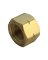 Pipe Cap 1/2" Brass Lf