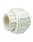 UNION SCH40 PVC 1/2" FIP