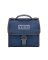 DAY TRIP LUNCH BAG NAVY