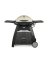 WEBER Q3200 LP GAS GRILL