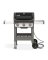 GRILL SPIRIT II E-310 NG