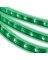 ROPE LIGHT GREEN 12'