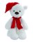 WHT BEAR W/RED HAT&SCARF