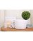 Aroma Diffuser Lamp Spkr