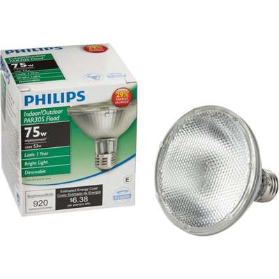 53PAR30S HALOGEN BULB