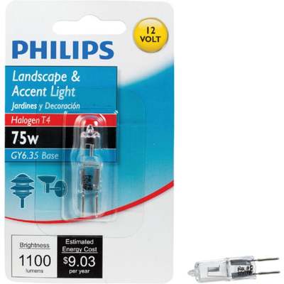 75W GY6.35 HALOGEN BULB