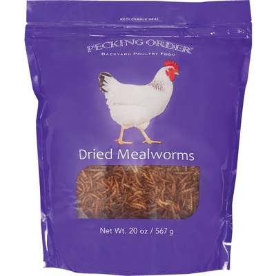 DRIED MEALWORM