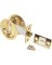 100PK 1.25" Pock Screws Course