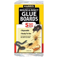 GLUE BOARDS 5 PACK