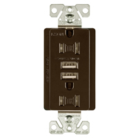 RECEPT DUPLEX COMB TR W/USB BRWN