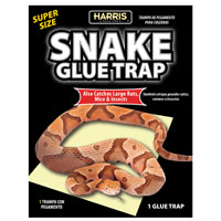 SNAKE GLUE TRAP