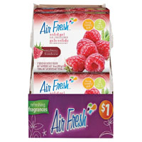 AIR FRESHENER SOLID GEL RASPBERY