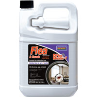 FLEA ROACH SPRAY RTU GAL