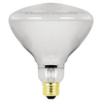 BOMBILLA FLOODLAMP PAR38 65W