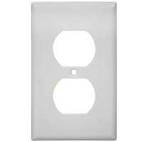 PLATE OUTLET DOUBLE WHITE