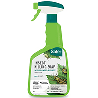 Safer 5110-6 Insect Killing Soap with Seaweed Extract, Liquid, 32 oz Bottle