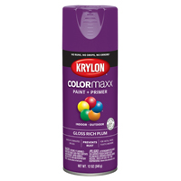 COLORMAXX GLOSS RICH PLUM SPRAY
