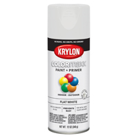 COLORMAXX FLAT WHITE SPRAY