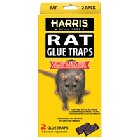 TRAP GLUE RAT 2 PK