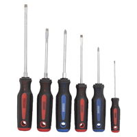 DESTORNILLADOR SET 6PCS