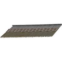 NAIL FRMG PPRRNG BRT 131X2-3/8