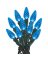 LIGHT SET C6 STS BLUE 60L