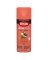 COLORMAXX MATTE SUNRISE SPRAY