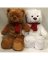CHRISTMAS BEAR 30IN 2-ASST