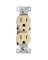 DUPLEX RECEPTACLE IVORY