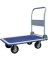 CART PLATFORM ST LRG 880 LB CA