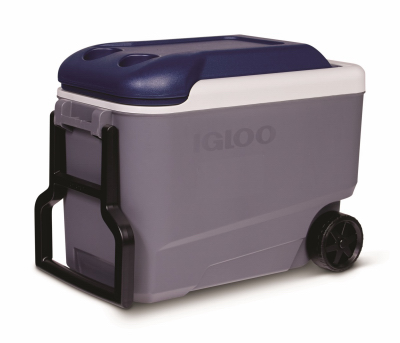 IGLOO 40QT WHL Ice Chest