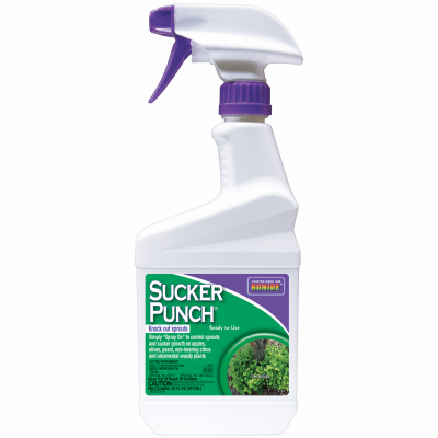 SUCKER PUNCH RTU PT