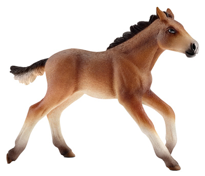 BRN/Tan Mustang Foal