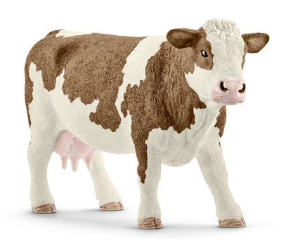 BRN/WHT Simmental Cow