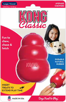 what can you put in a kong dog toy