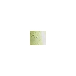 SQUID BODY APPLETINI 5" (3/PK)