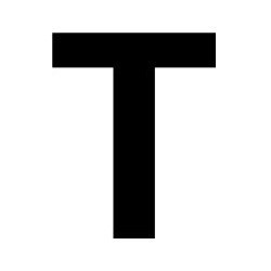 3" PLASTIC LETTER T