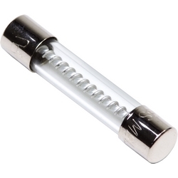 FUSE MDL TIME DELAY 10A (2/PK)