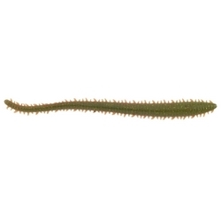 SANDWORM CAMO 6" 11.2oz