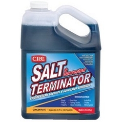 SALT TERMINATOR CONC 1 GA