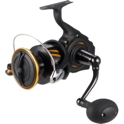 BG SW SPINNING REELS
