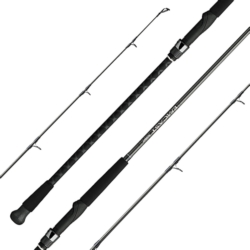 EMCAST SURF ROD 10' MED 2-PC