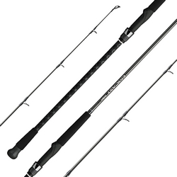 EMCAST SURF ROD 10' MEDIUM HEAVY FAST 2-PC (12-30LB 1 - 6 OZ)
