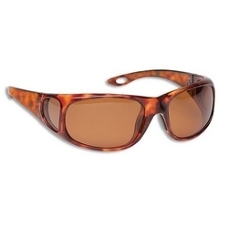 19EL SUNGLASSES TORT/BROWN