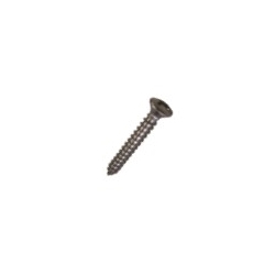 SS OVAL HEAD TAPPING SCREWS