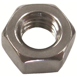 SS HEX NUTS PKGD