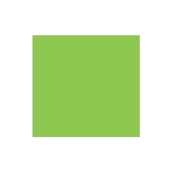 VINYLON LIME QT